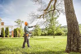 Reliable Victory Gardens, NJ  Tree Services Solutions