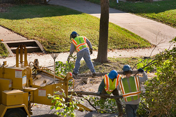 Best Landscape Design and Installation  in Victory Gardens, NJ